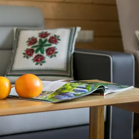 Gorski Koscielna By Renters * Zakopane